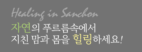 healing in shachon 자연의 푸르름속에서 지친 맘과 몸을 힐링하세요!